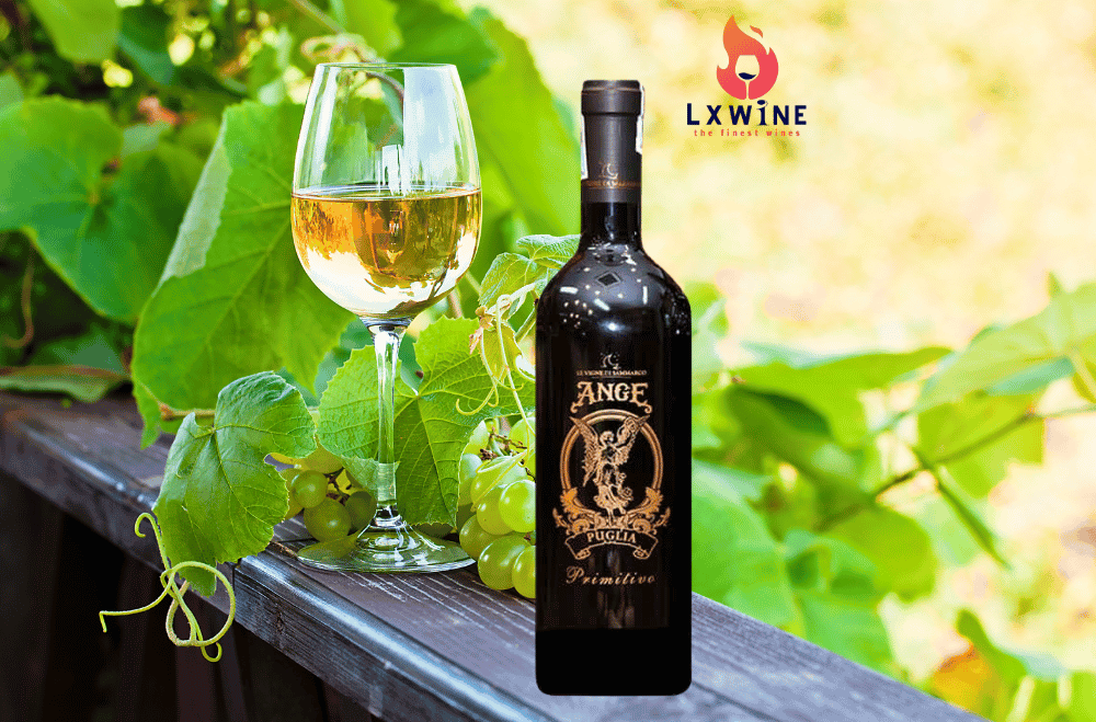 Vang Ý Ange Puglia Primitivo